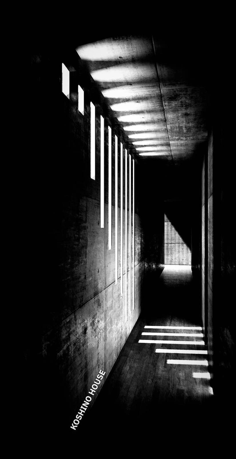 Tadao Ando